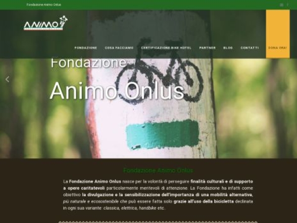 animo.com