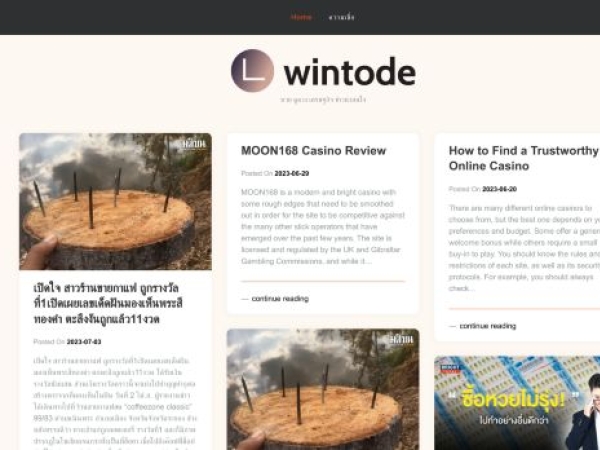 wintode.com